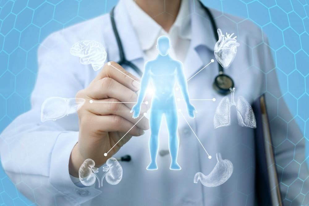 Personalisierte Medizin für ein besseres Leben – was ist funktionelle Medizin?