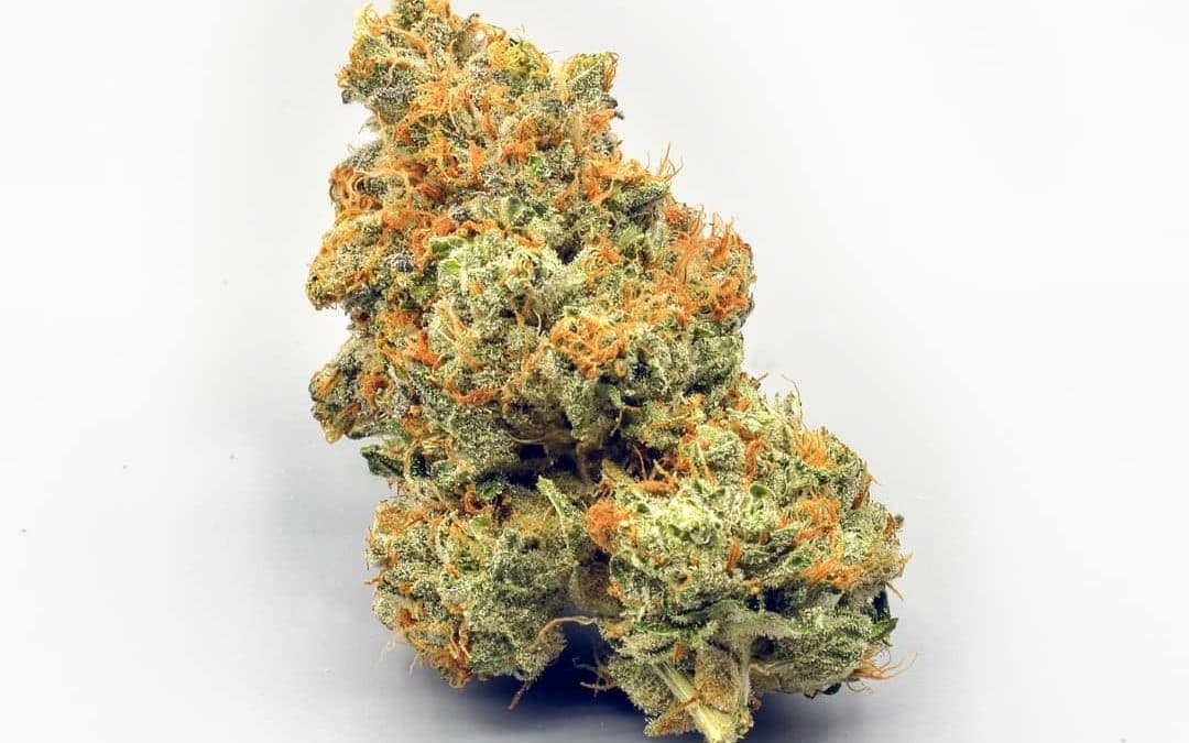 Raritäten von Top-Züchtern – Cannabis Samen bestellen und genießen
