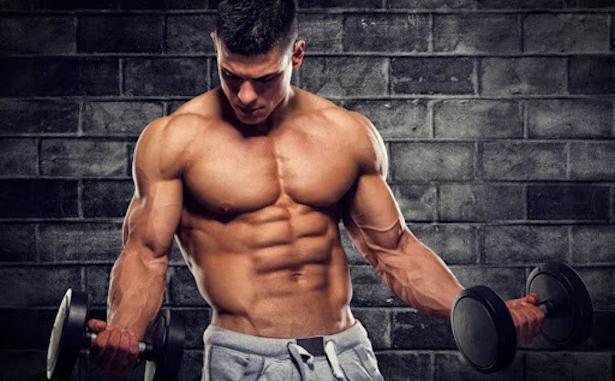 SARMs kaufen: Hochwertige SARMs für Ihre Fitnessziele bei Fatburnerking
