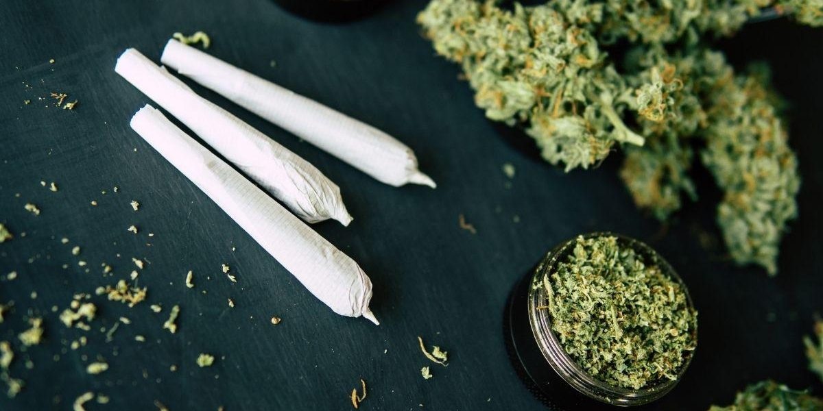 Raritäten von Top-Züchtern – Cannabis Samen bestellen und genießen