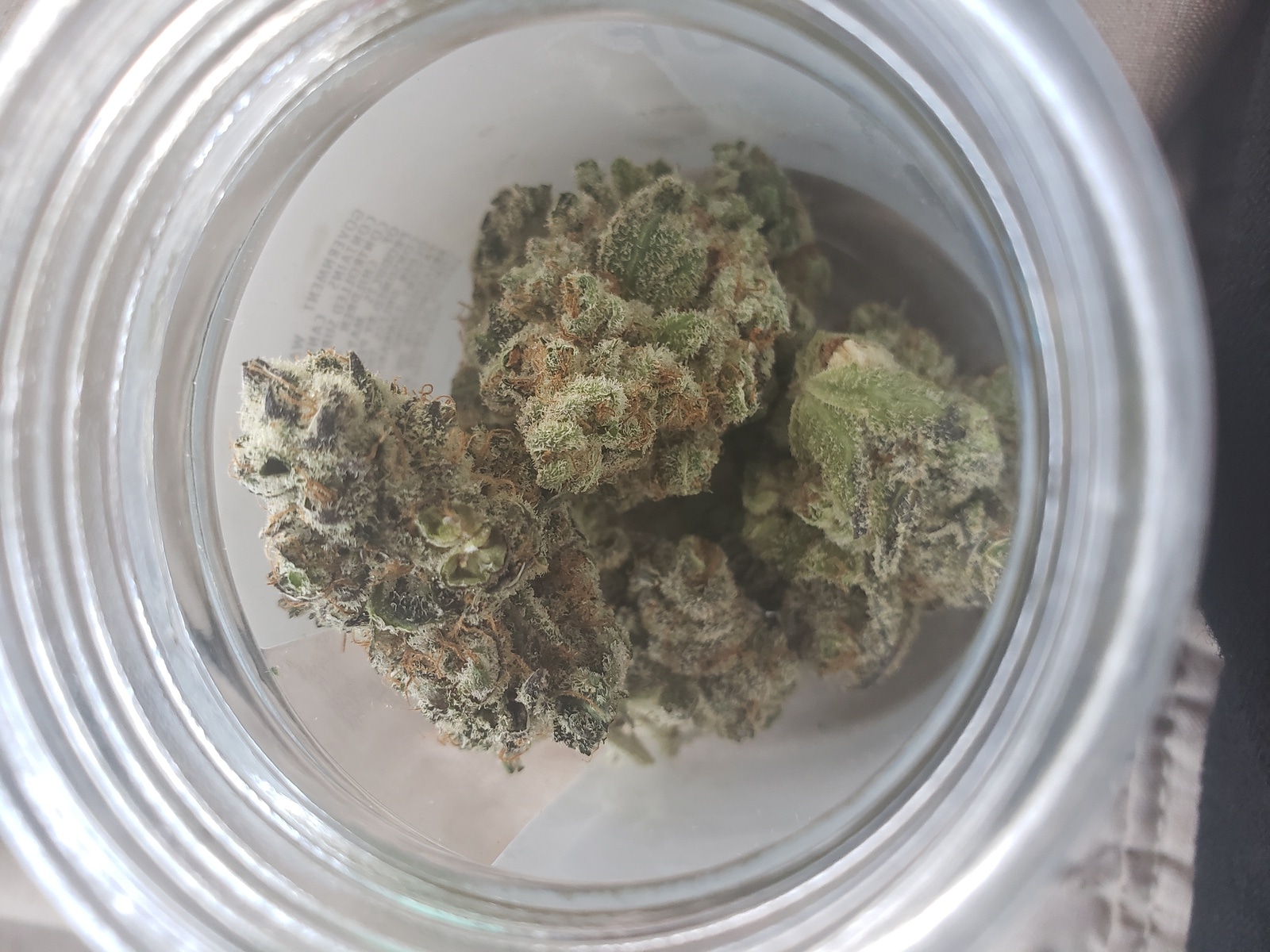 Hol dir den Duft der Neuheit: Blue Zushi von Growerschoice