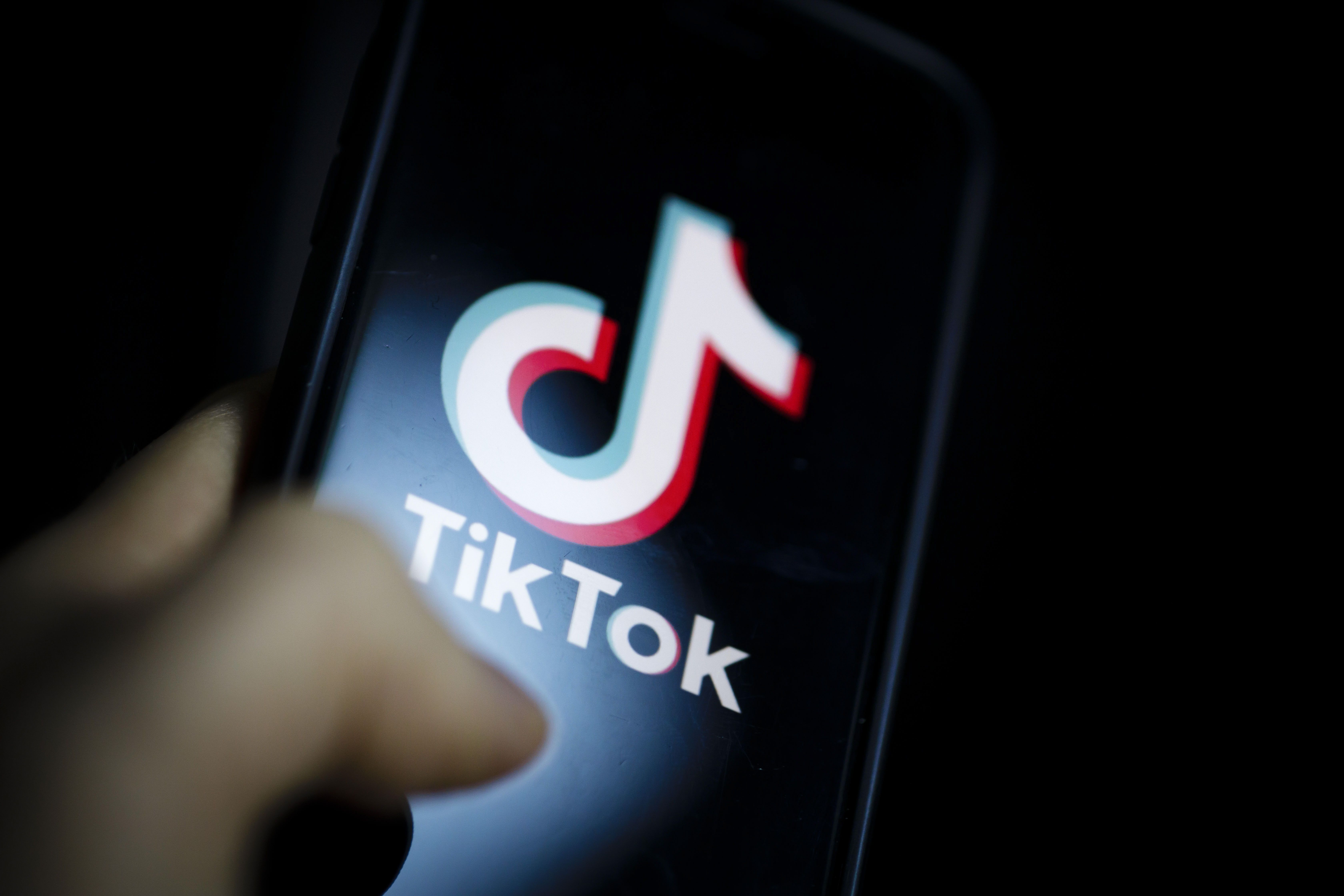 Löwe erklärt, warum der Kauf von TikTok Aufrufen dein Account-Wachstum beschleunigt