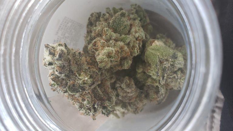 Hol dir den Duft der Neuheit: Blue Zushi von Growerschoice