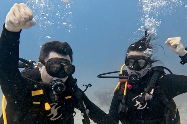 Playa del Carmen entdecken: Tauchen Mexiko neu erleben