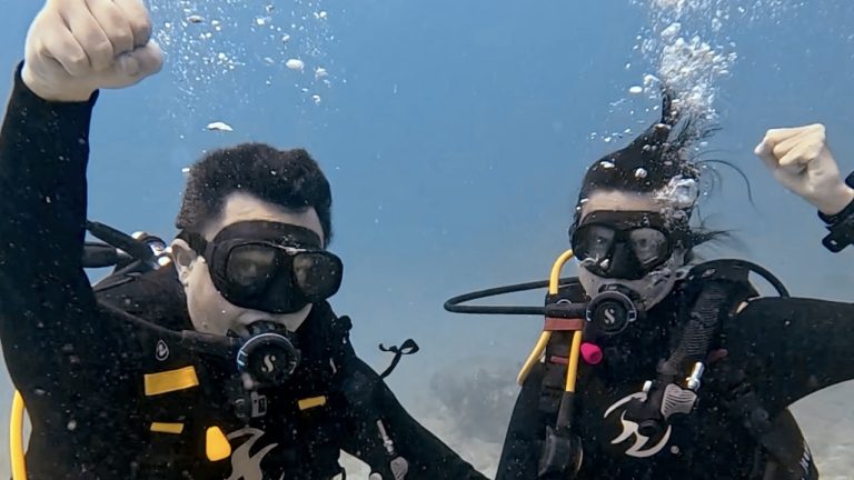 Playa del Carmen entdecken: Tauchen Mexiko neu erleben